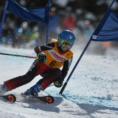 Regsegger Angelina 6.04.2019 Web