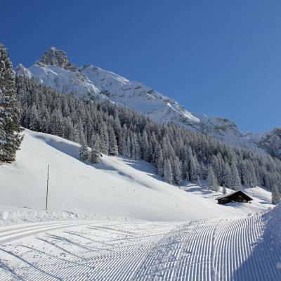 Goennerverein Ig Loipe Adelboden